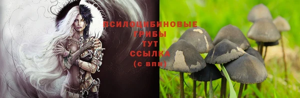 СК Надым