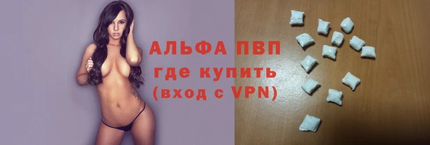 СК Надым