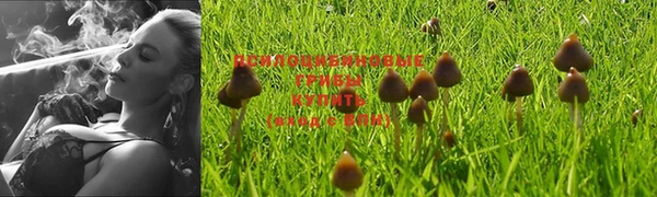 тгк Наволоки
