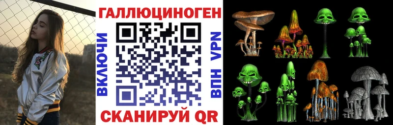 blacksprut tor  Катайск  Псилоцибиновые грибы Magic Shrooms  дарнет шоп 